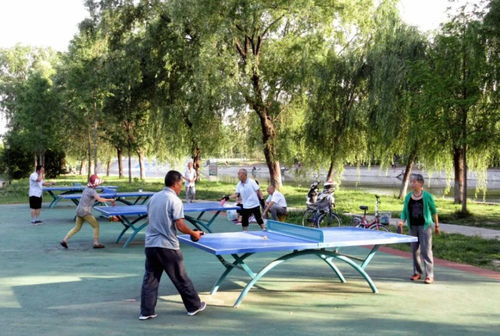 全民健身播报 沪陕联合队轮椅击剑摘金，陕西信达豪取12连胜，健身休闲活动蓬勃发展